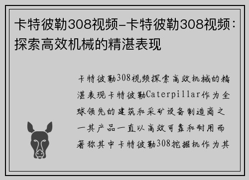 卡特彼勒308视频-卡特彼勒308视频：探索高效机械的精湛表现