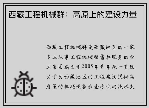 西藏工程机械群：高原上的建设力量